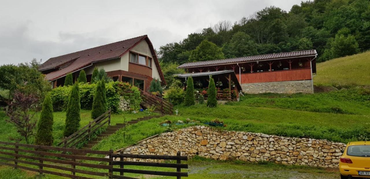 Pensiunea Casa Motilor Bucium  Exterior foto