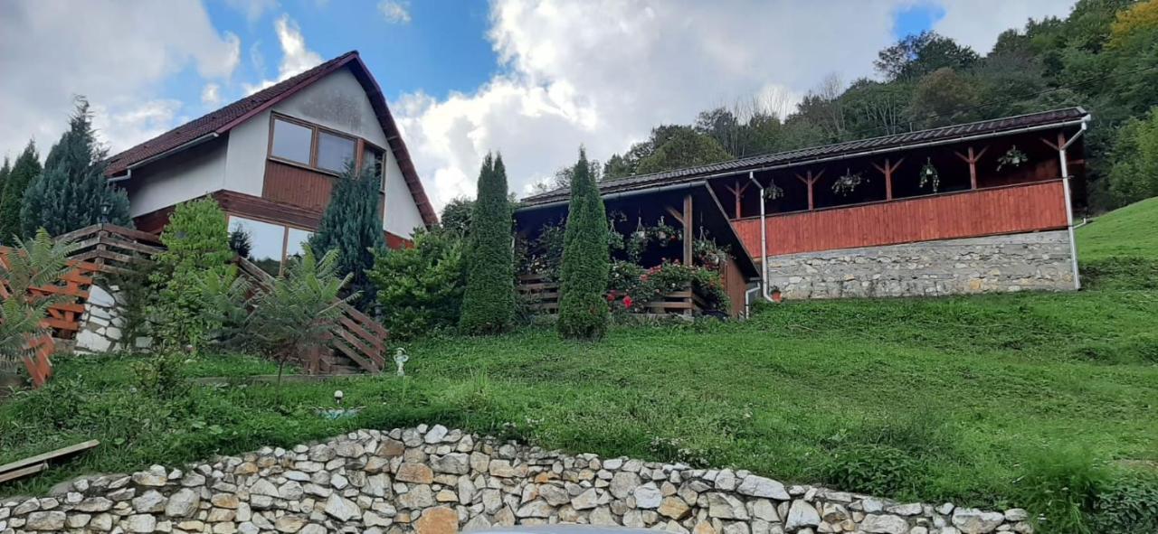 Pensiunea Casa Motilor Bucium  Exterior foto